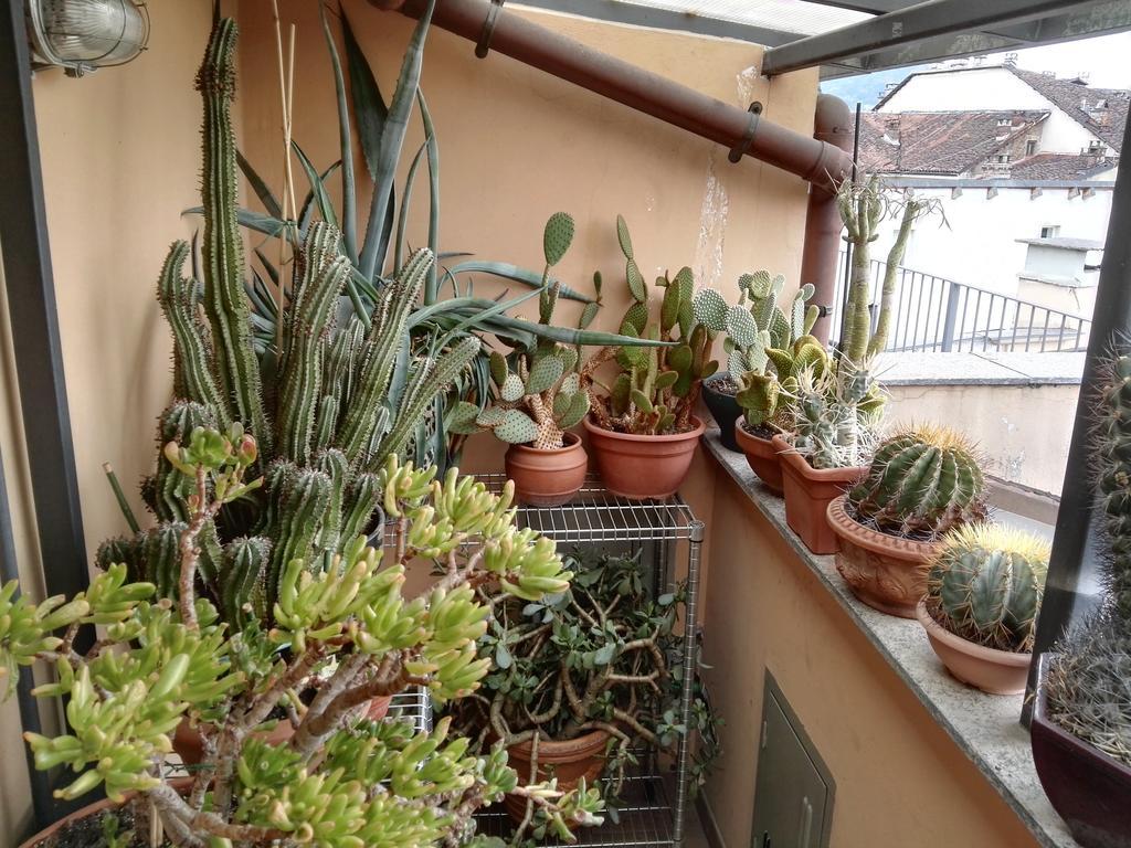 مبيت وإفطار تورينو A Casa Di Gio المظهر الخارجي الصورة