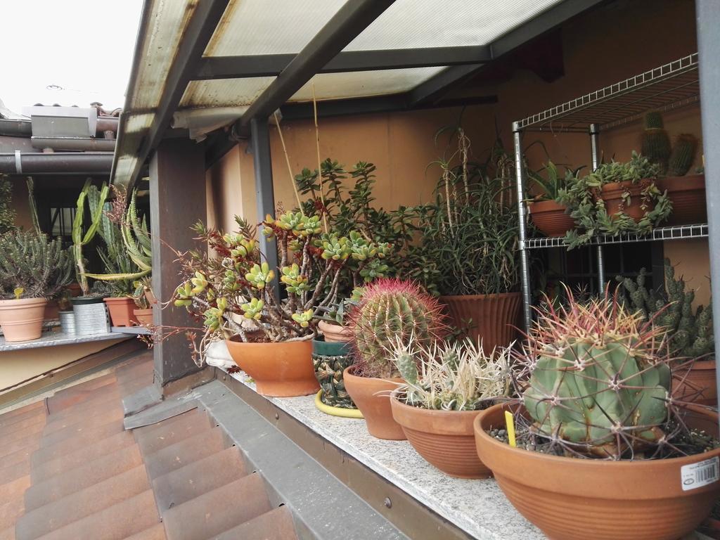 مبيت وإفطار تورينو A Casa Di Gio المظهر الخارجي الصورة